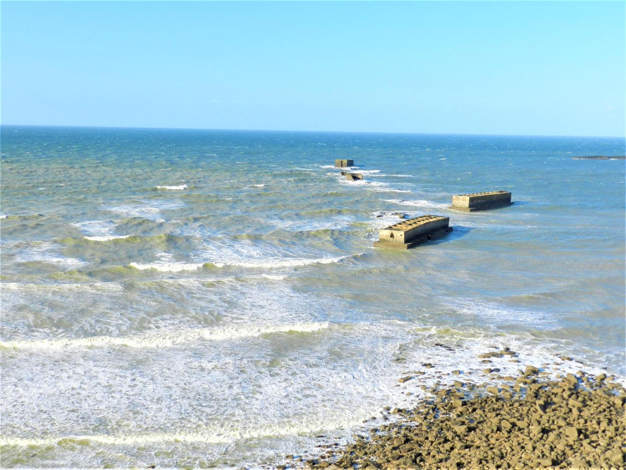 Maison Des Palmiers - Bord De Mer Et Campagne Vila Port-en-Bessin-Huppain Exterior foto